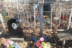 Вуль Эмилия Васильевна