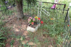 Долгов Алексей Степанович