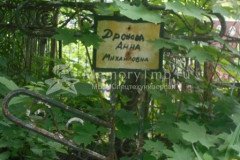 Дронова Анна Михайловна