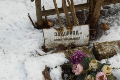 Задорина Анна Ивановна