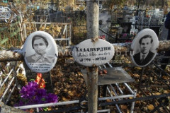 Халабудина  Елена Павловна