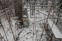 Безымянное