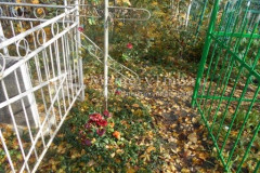 Безымянное