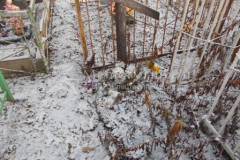 Безымянное
