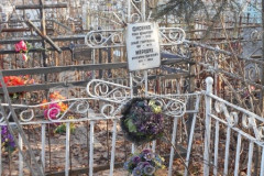 Мередих Вениамин Георгиевич