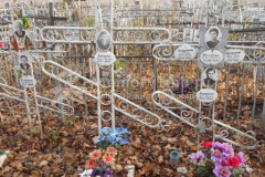 Ананьева Елена Максимовна