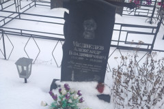 Медведев Александр Владимирович