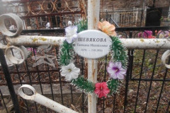 Шевякова Татьяна Михайловна