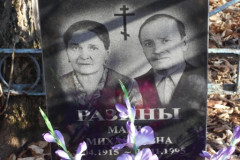 Разины