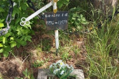 Белова Е Ф