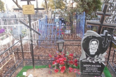 Миронова Анна Дмитриевна