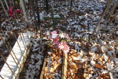 Безымянная