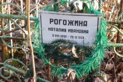 Рогожина Наталия Ивановна