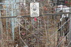 Сафронов Никита Прокофьевич