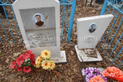 Шелест Владимир Григорьевич