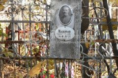 Мадонов Василий Олегович