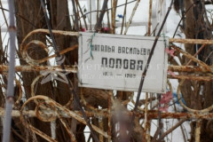 Попова Наталья Васильевна