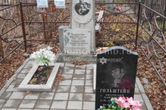 Гольдштейн Давид Гдальевич