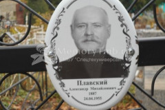 Плавский Александр Михайлович