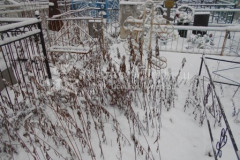 Безымянное